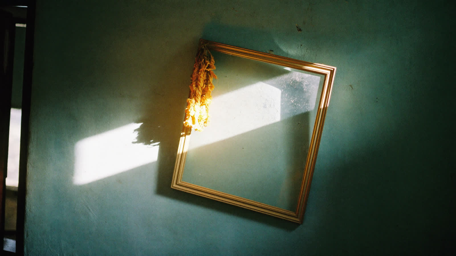 An empty picture frame on a plaster wall, a dried marigold garland over its corner, crossed by a shaft of light.